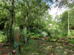 Garden/Images/ResizedWidth//point 005_entrance hearth pond view_garden__petra verhees.jpg