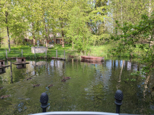 Garden/Images/ResizedWidth//point 020_heart pond_garden_overview.jpg