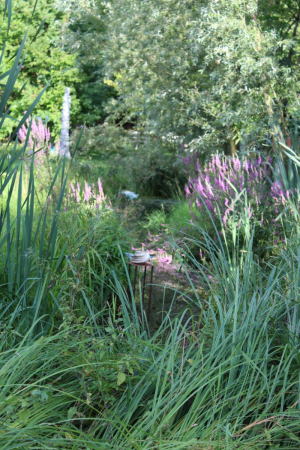 Garden/Images/ResizedWidth//point 030_mid brook_garden_overview.jpg