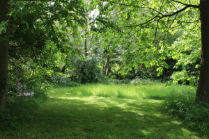 Garden/Images/ResizedWidth//point 070_isle of dreams_garden_overview 2.jpg