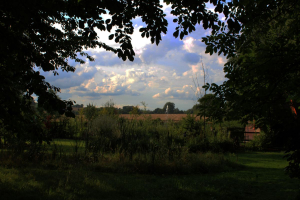 Garden/Images/ResizedWidth//point 085_triangle prairy_garden_skies 3.jpg