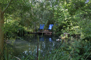 Garden/Images/ResizedWidth//point 130_frog pond_garden_overview 2.jpg