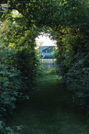 Garden/Images/ResizedWidth//point 130_labyrinth pergola_garden_view on landscape.jpg