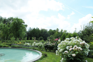 Garden/Images/ResizedWidth//point 130_labyrinth pond_garden.jpg