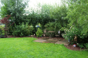 Garden/Images/ResizedWidth//point 140_hibiscus room_garden_sitting corner.jpg