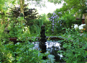 Garden/Images/ResizedWidth//point 150_mon petit jardin_garden.jpg