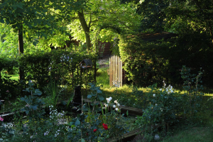 Garden/Images/ResizedWidth//point 150_mon petit jardin_garden_overview.jpg